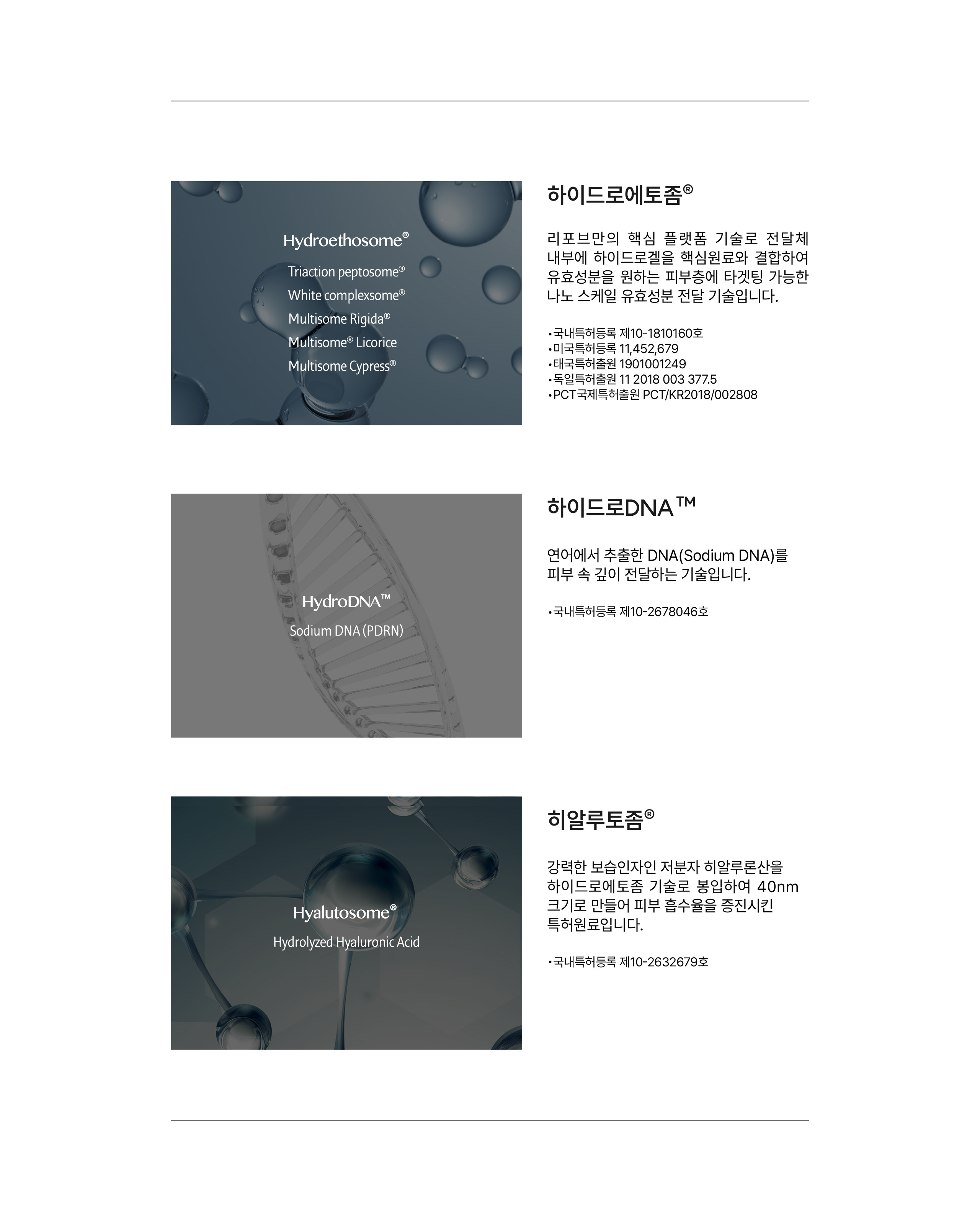 히알루토좀 립 프로텍터 3가지 원료 기술 설명 — 하이드로에토좀, 하이드로DNA(소듐디엔에이), 히알루토좀 특허 원료와 국내외 등록번호
