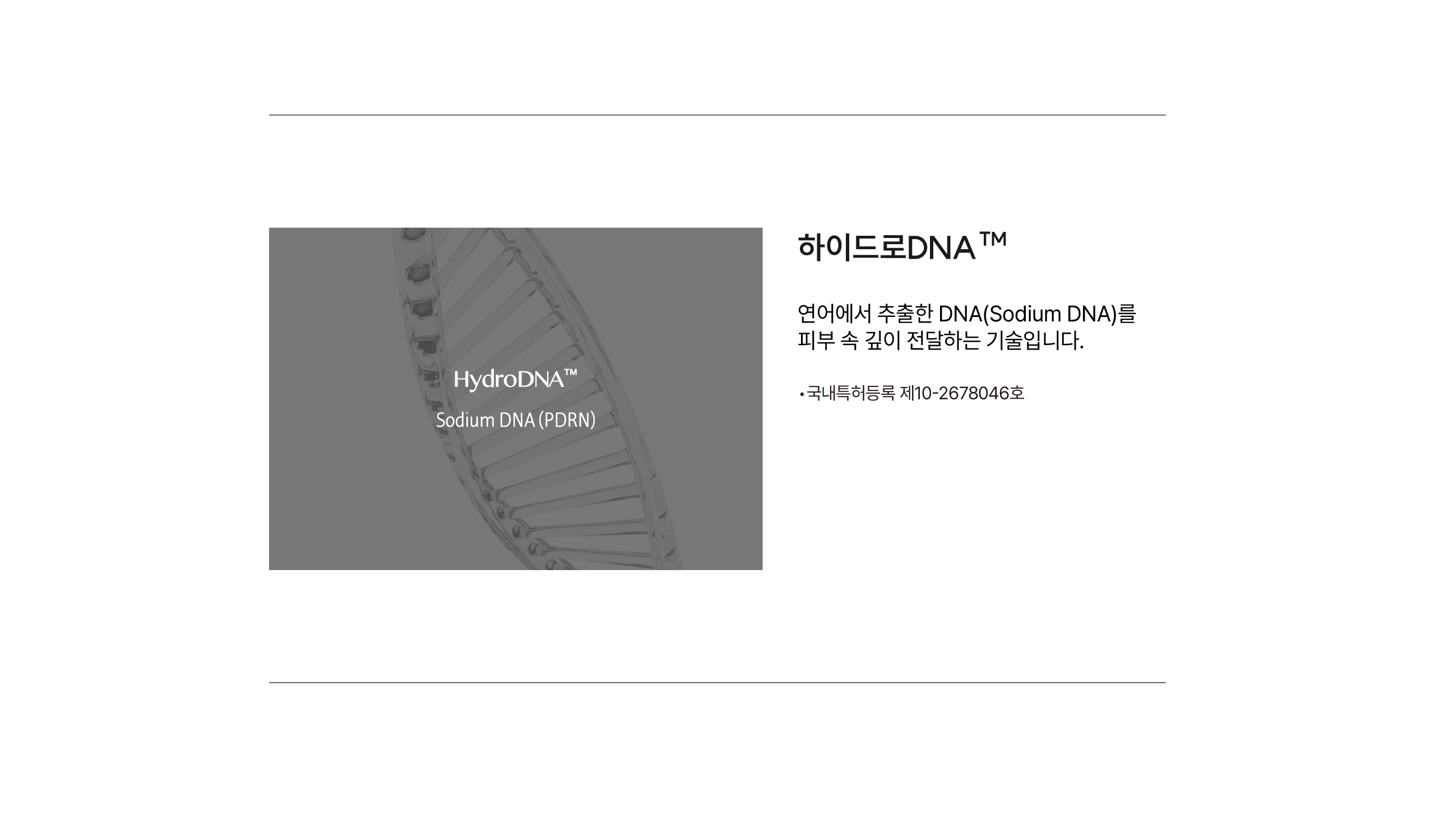 하이드로DNA 성분 기술 설명 — 연어에서 추출한 소듐디엔에이(Sodium DNA, PDRN)를 피부 속 깊이 전달하는 리포브 기술, 국내특허등록 제10-2678046호