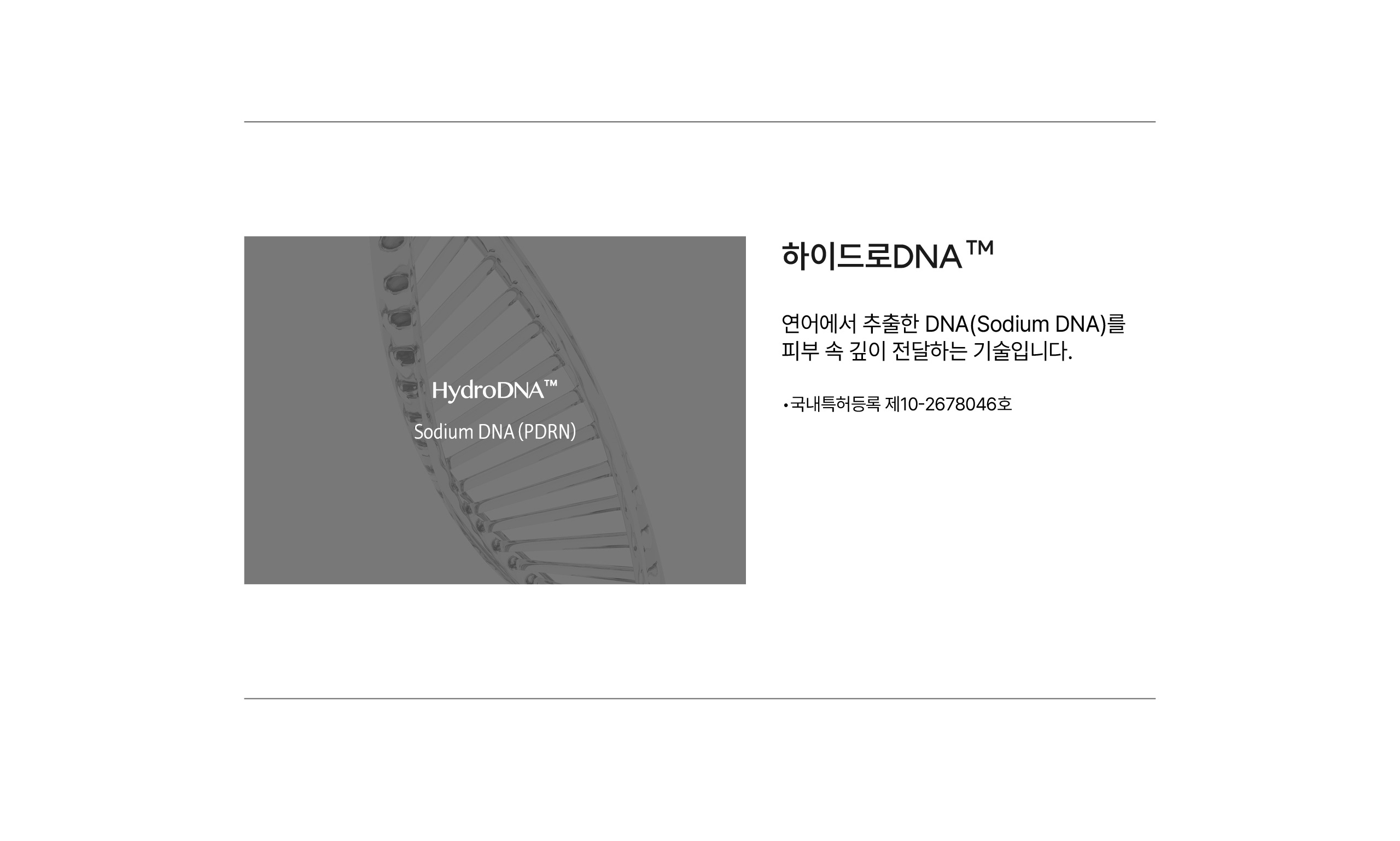 하이드로DNA 성분 기술 설명 — 연어에서 추출한 소듐디엔에이(Sodium DNA, PDRN)를 피부 속 깊이 전달하는 리포브 기술, 국내특허등록 제10-2678046호