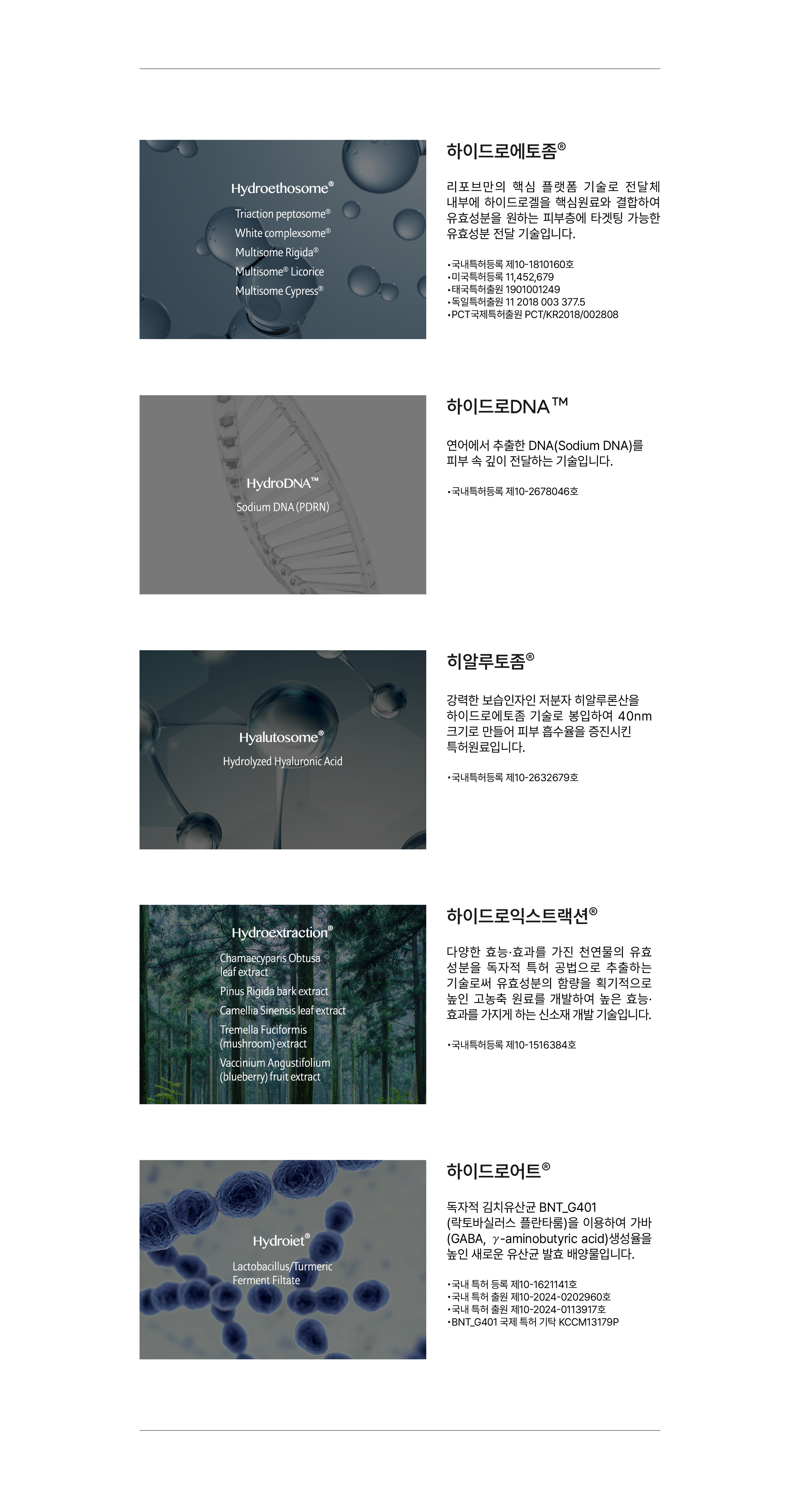 6G REP홀바디스틱 핵심 원료 기술 5가지 설명 — 하이드로에토좀(국내특허등록 제10-1810160호, 미국특허등록 11,452,679), 하이드로DNA 소듐디엔에이(제10-2678046호), 히알루토좀 저분자 히알루론산(제10-2632679호), 하이드로익스트랙션 고농축 추출(제10-1516384호), 김치유산균 BNT_G401 하이드로어트(제10-1621141호)