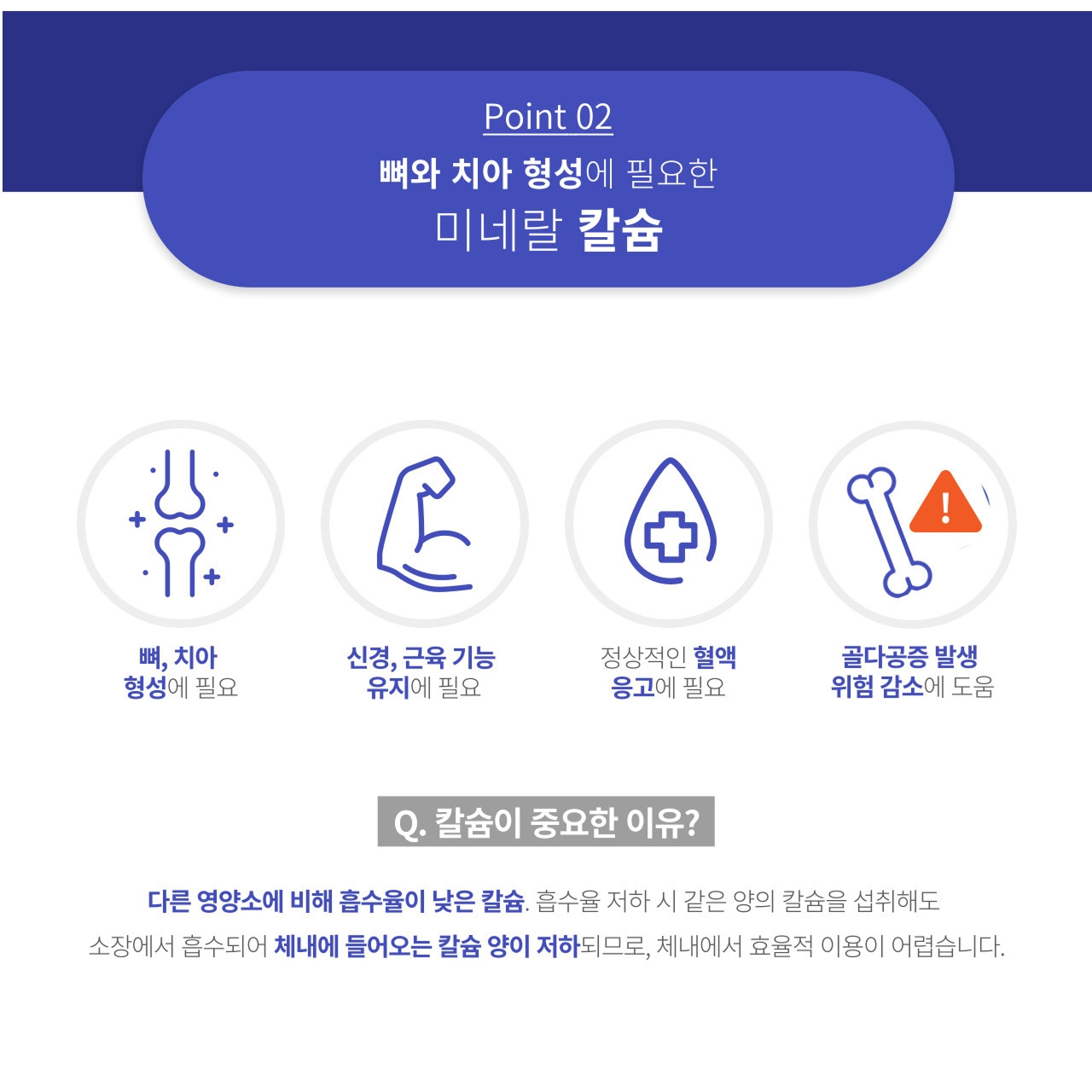 앱소칼슘&연골 Point 02 미네랄 칼슘 — 뼈와 치아 형성에 필요, 신경과 근육 기능 유지에 필요, 정상적인 혈액응고에 필요, 골다공증 발생 위험 감소에 도움. 다른 영양소에 비해 흡수율이 낮은 칼슘은 흡수율 저하 시 같은 양을 섭취해도 소장에서 흡수되는 양이 저하되어 체내에서 효율적 이용이 어렵다는 설명