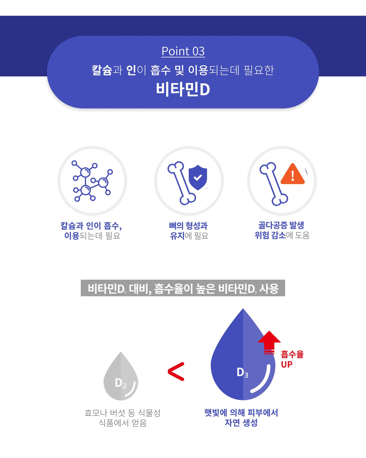 앱소칼슘&연골 Point 03 비타민D — 칼슘과 인이 흡수되고 이용되는데 필요, 뼈의 형성과 유지에 필요, 골다공증 발생 위험 감소에 도움. 비타민D2 대비 흡수율이 높은 비타민D3 사용, 햇빛에 의해 피부에서 자연 생성