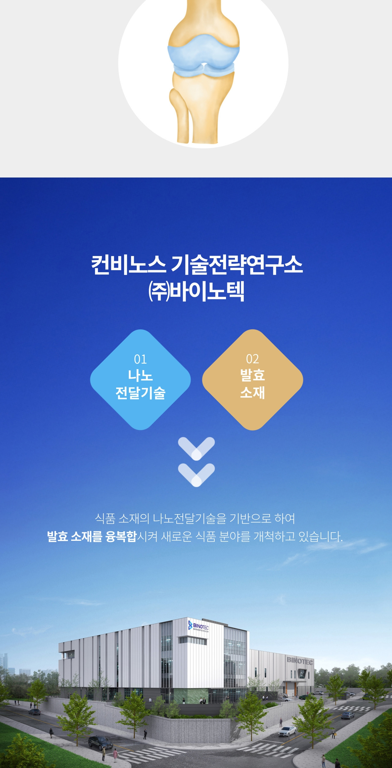 컨비노스 기술전략연구소 ㈜바이노텍 소개 — 01 나노전달기술, 02 발효소재. 식품 소재의 나노전달기술을 기반으로 발효 소재를 융복합시켜 새로운 식품 분야를 개척