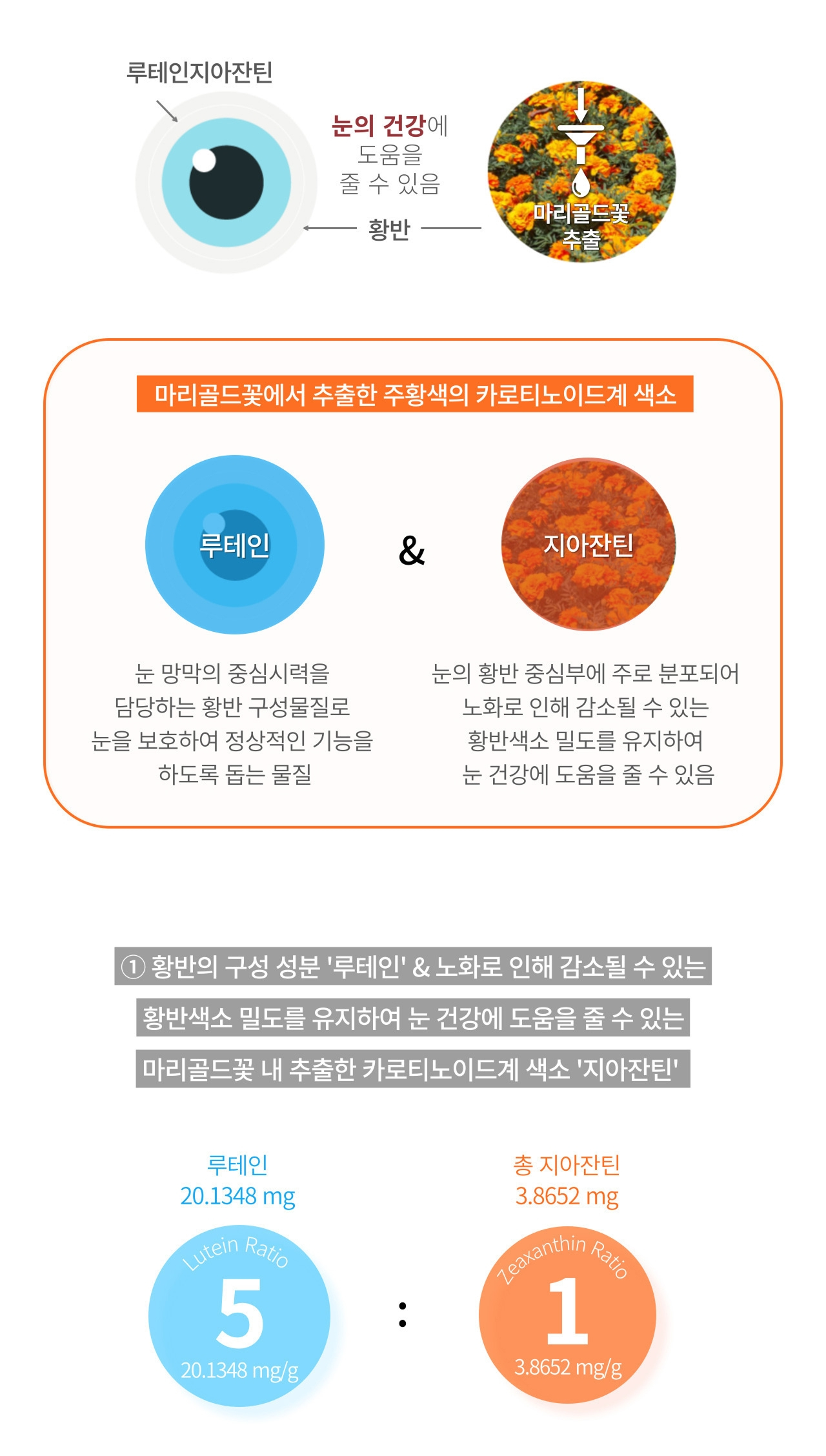 앱소아이리버 루테인과 지아잔틴 설명 — 루테인은 눈 망막의 중심시력을 담당하는 황반 구성물질, 지아잔틴은 눈의 황반 중심부에 주로 분포하여 노화로 인해 감소될 수 있는 황반색소 밀도를 유지. 마리골드꽃에서 추출한 주황색 카로티노이드계 색소. 루테인 20.1348mg 대 총 지아잔틴 3.8652mg, 비율 5대 1