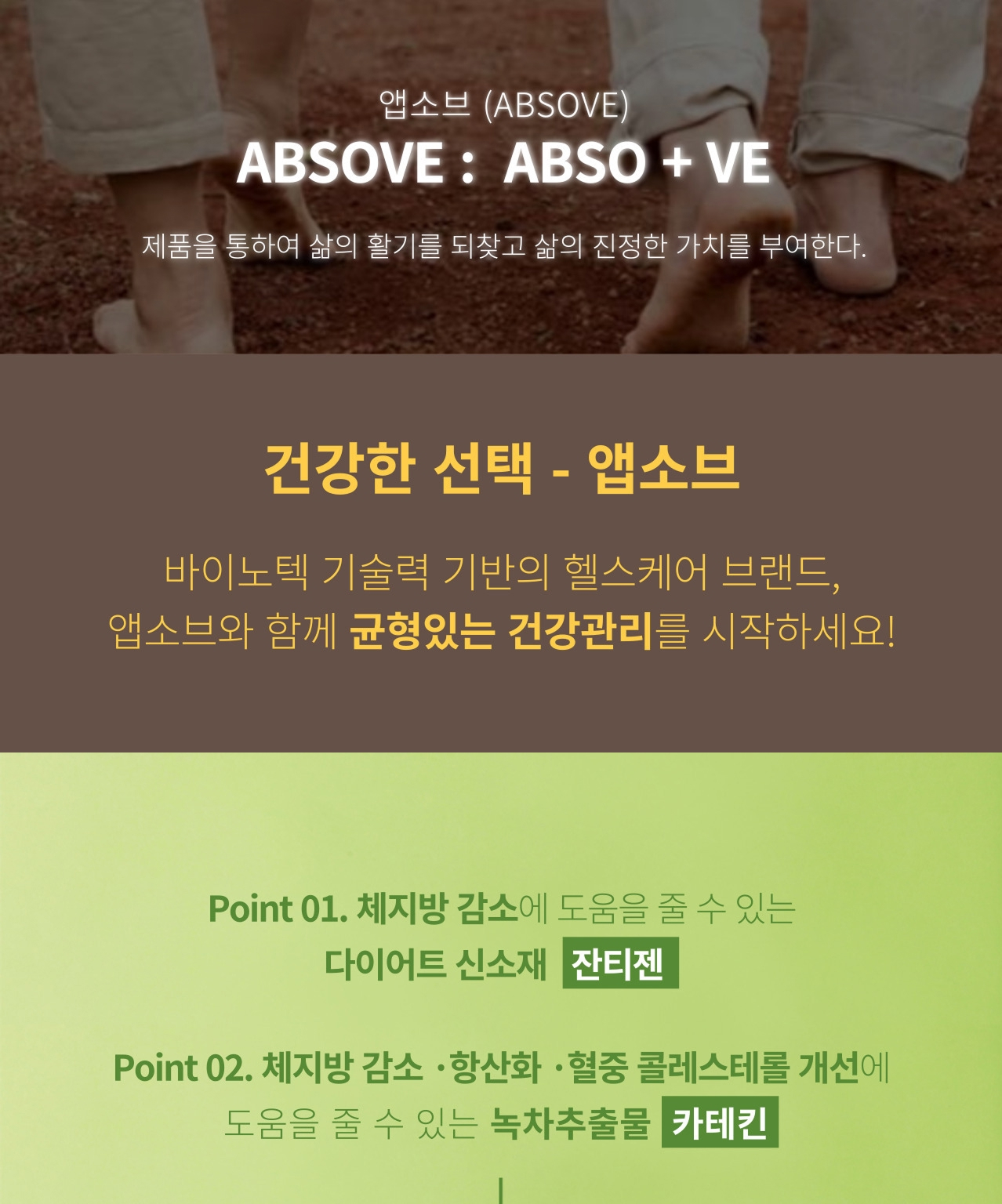 앱소브(ABSOVE) 브랜드 소개와 앱소어트 구성 — Point 01 체지방 감소에 도움을 줄 수 있는 잔티젠, Point 02 체지방 감소·항산화·혈중 콜레스테롤 개선에 도움을 줄 수 있는 녹차추출물 카테킨