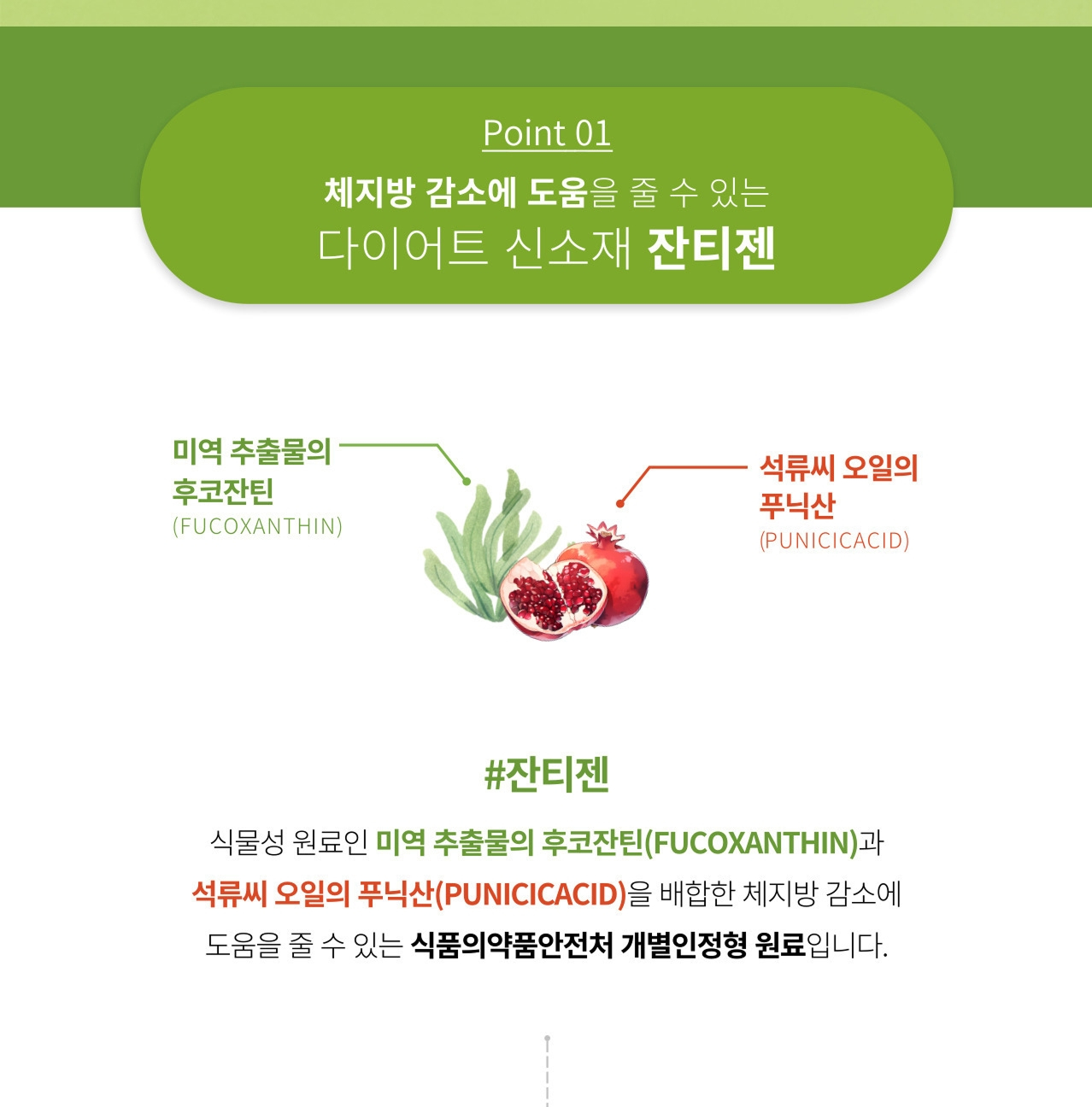 앱소어트 Point 01 잔티젠 — 미역 추출물의 후코잔틴(FUCOXANTHIN)과 석류씨 오일의 푸닉산(PUNICICACID)을 배합한, 체지방 감소에 도움을 줄 수 있는 식품의약품안전처 개별인정형 원료