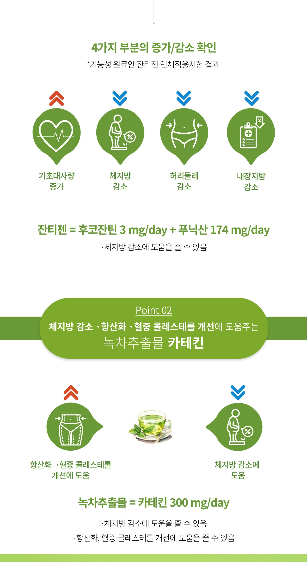앱소어트 잔티젠 인체적용시험 결과와 녹차추출물 — 기능성 원료인 잔티젠 인체적용시험 결과 4가지 부분의 증가·감소 확인. 잔티젠은 후코잔틴 3mg/day와 푸닉산 174mg/day, 체지방 감소에 도움을 줄 수 있음. Point 02 녹차추출물 카테킨 300mg/day, 항산화·혈중 콜레스테롤 개선 및 체지방 감소에 도움