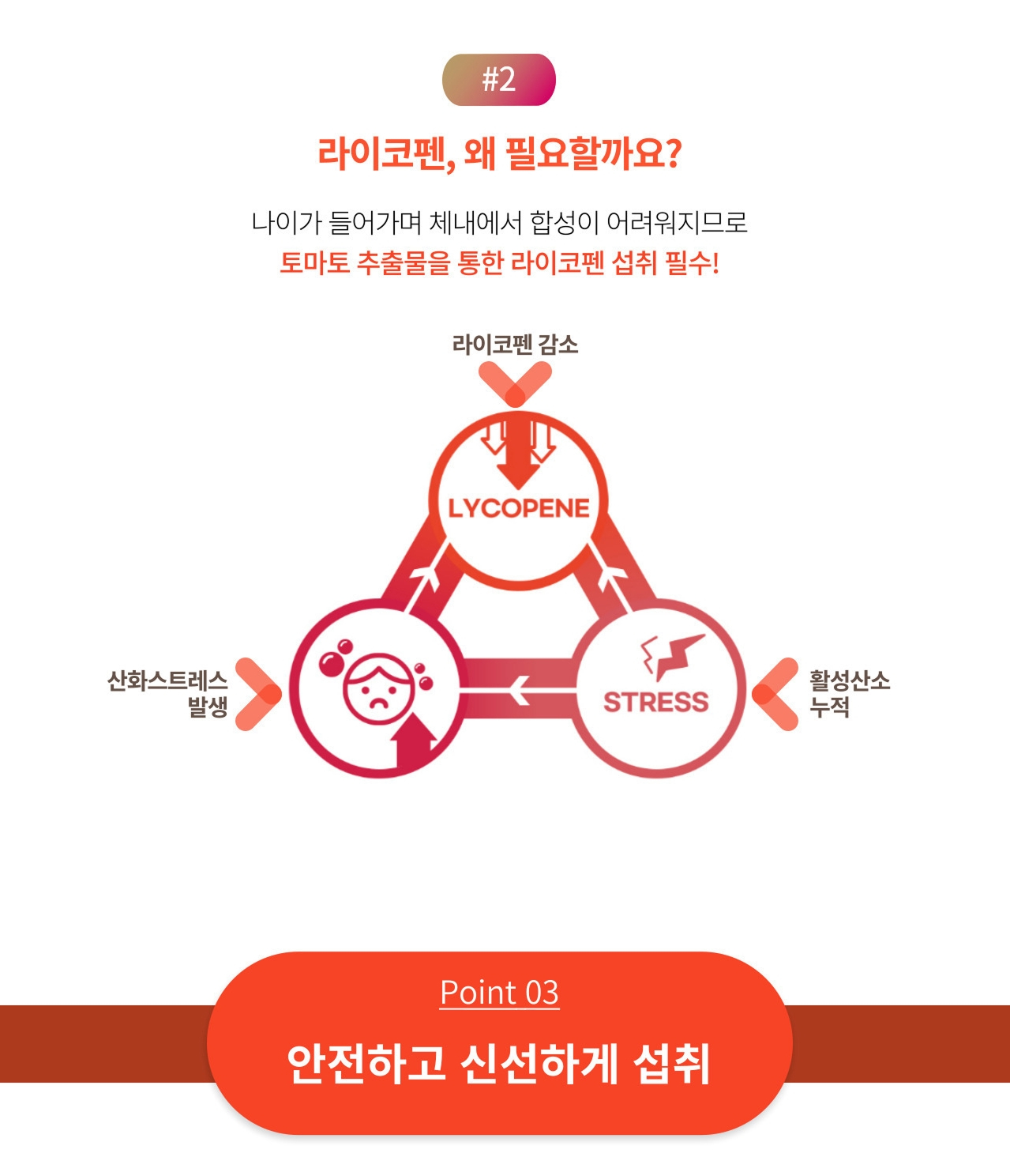앱소메가 라이코펜 설명 — 나이가 들어가며 체내에서 합성이 어려워지므로 토마토 추출물을 통한 라이코펜 섭취. Point 03 안전하고 신선하게 섭취