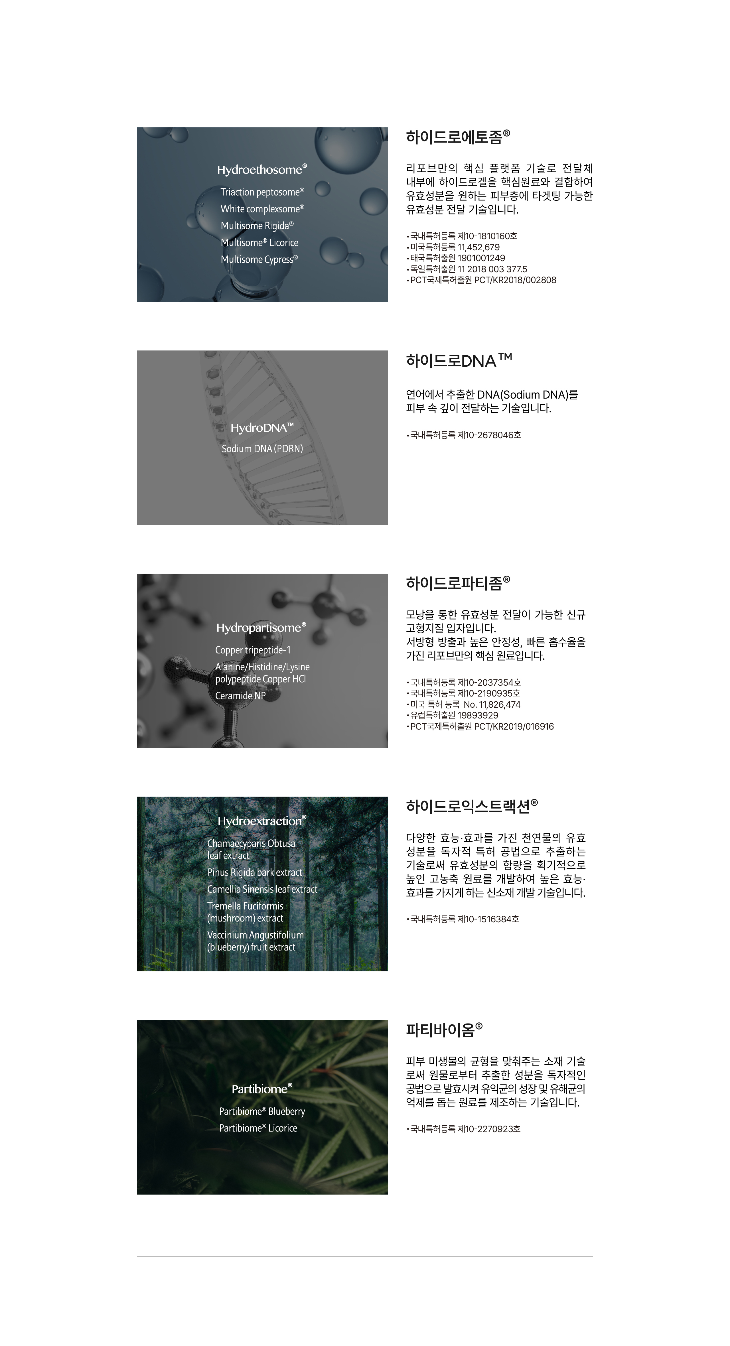 6G 홀바디워시에센스 원료 기술 설명 — 하이드로에토좀, 하이드로DNA(소듐디엔에이), 하이드로파티좀, 하이드로익스트랙션, 파티바이옴 특허 원료와 등록번호