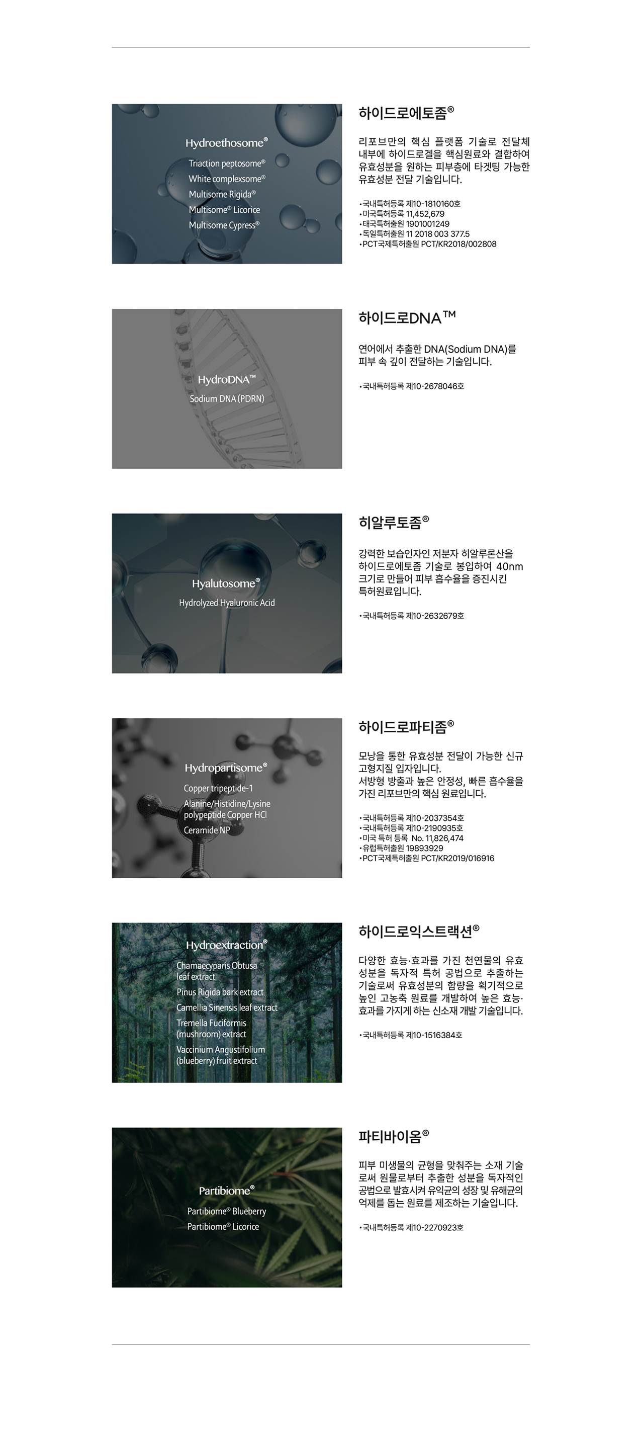 6G AB솔루션 6가지 원료 기술 설명 — 하이드로에토좀, 하이드로DNA(소듐디엔에이), 히알루토좀, 하이드로파티좀, 하이드로익스트랙션, 파티바이옴 특허 원료와 등록번호
