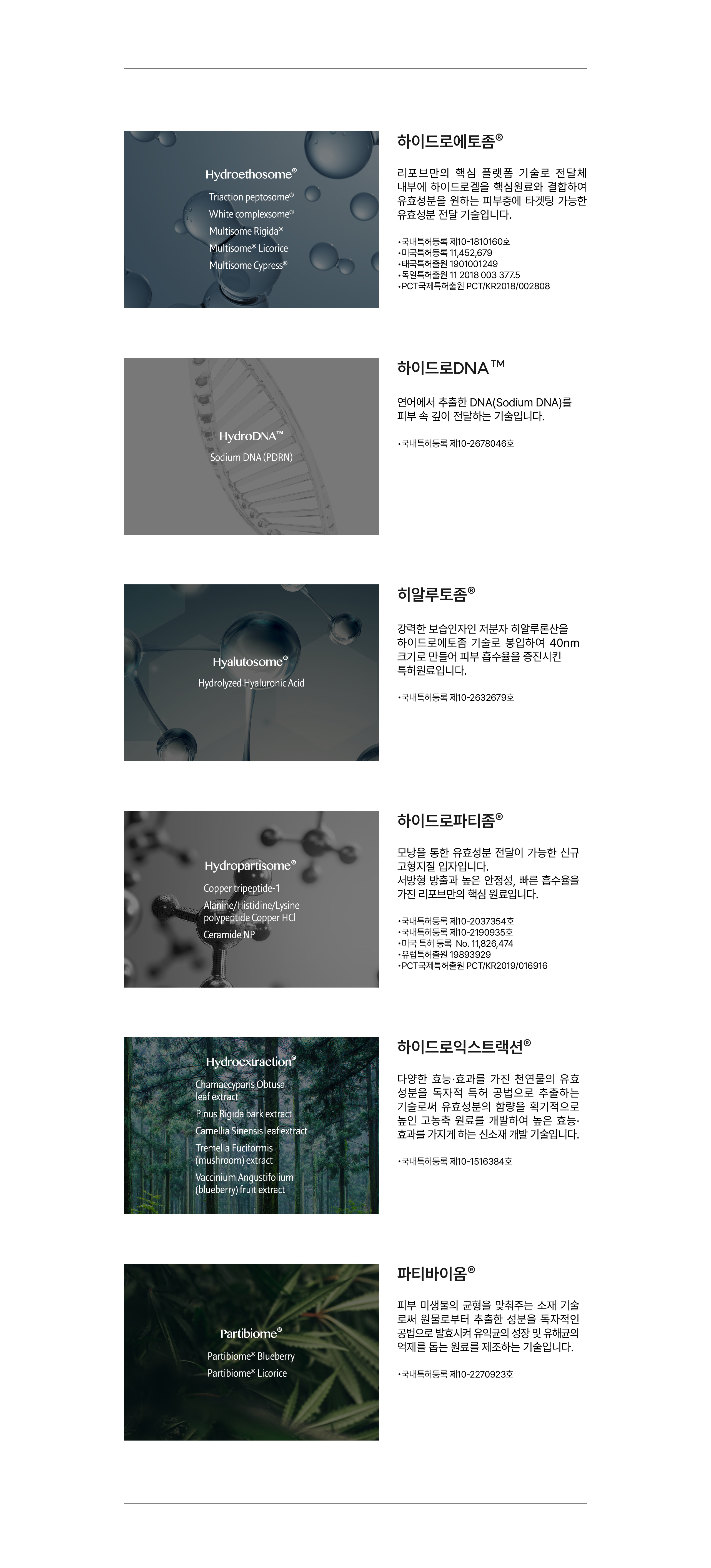 6G REP크림 6가지 원료 기술 설명 — 하이드로에토좀, 하이드로DNA(소듐디엔에이), 히알루토좀, 하이드로파티좀, 하이드로익스트랙션, 파티바이옴 특허 원료와 국내외 등록번호